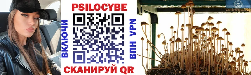 Псилоцибиновые грибы Magic Shrooms  как найти наркотики  Печоры 